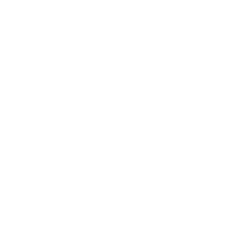 Roof Repair